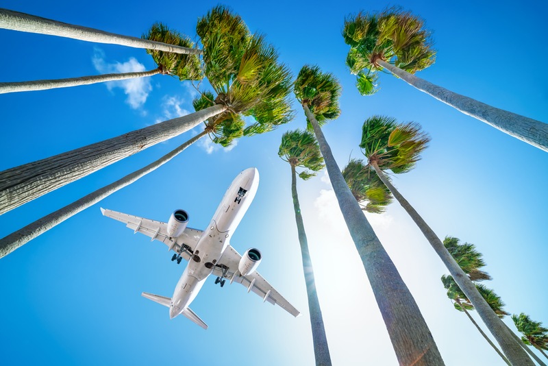 The Sky's the Limit: What to Expect for the Future of Florida Aviation